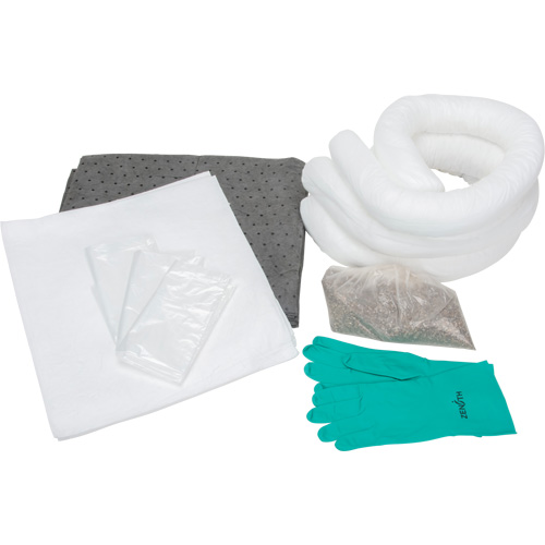 Spill Kit, Oil Only/Universal, Bag, 10 US gal. Absorbancy GTA Hardware Inc