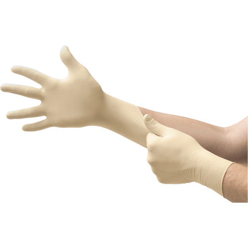 MICROFLEX&reg; Ultra One&reg; Examination Gloves, 10/9.5/X-Large, Latex, 9.8-mil, Powder-Free, Natural, Class 2 GTA Hardware Inc