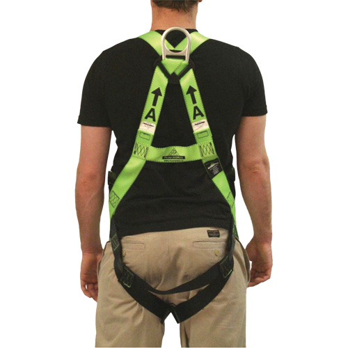 FBH-10000L Contractor Series Safety Harness, CSA Certified, Class AL, 400 lbs. Cap. GTA Hardware Inc