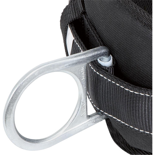 WB-6020-S Dispositif de retenue de s&eacute;curit&eacute; avec ceinture &agrave; deux anneaux en D et support lombaire rembourr&eacute; - Petit GTA Hardware Inc