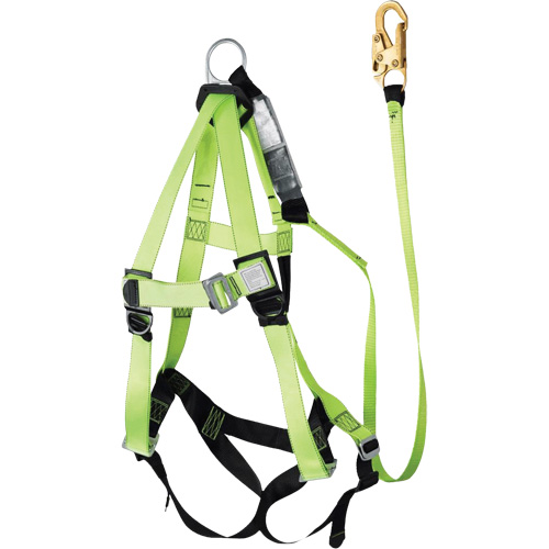 FBH-10000A6440-4 Harnais & longe classe A de 4' avec capacit&eacute; de 350 lb, Combinaison harnais/longe GTA Hardware Inc