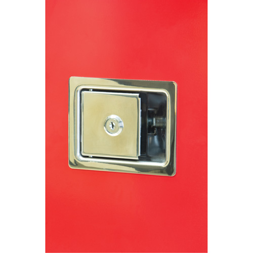 Armoires ext&eacute;rieures robustes pour extincteurs, 14" la x 28" h x 10" p GTA Hardware Inc