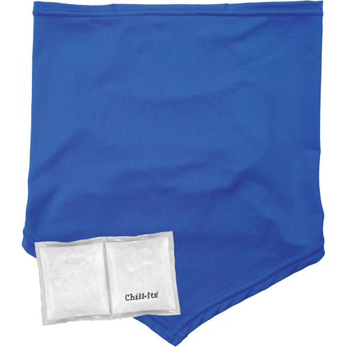 Cache-cou/bandana de refroidissement Chill-Its 6482 avec sachet r&eacute;frig&eacute;rant &agrave; changement de phase r&eacute;utilisable, grand/tr&egrave;s-grand, Bleu GTA Hardware Inc