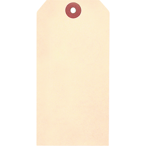 Manila Blank Tags, Cardstock, 1-3/8" W x 2-3/4" H GTA Hardware Inc