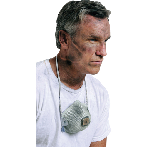 Respirateurs  contre les particules 2700, N95, Certifi&eacute; NIOSH, Grand/Moyen GTA Hardware Inc