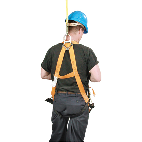 Miller&reg; Titan Contractor's Harnesses, CSA Certified, Class AP, 400 lbs. Cap. GTA Hardware Inc