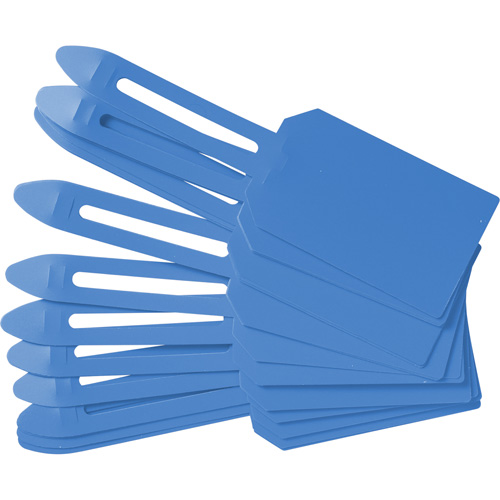 &eacute;tiquettes de cadenassage vierges en plastique, Plastique, 3-1/4" la x 5-4/5" h, Vierge GTA Hardware Inc