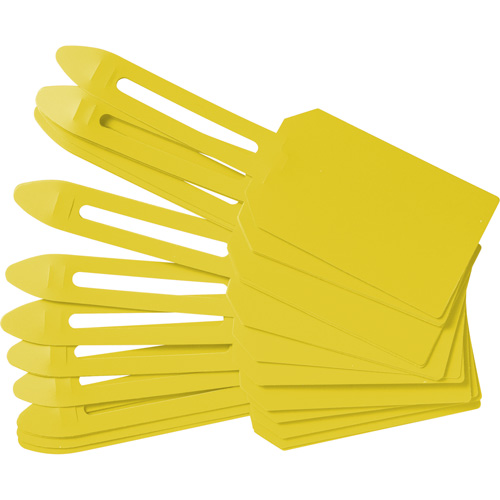 Blank Plastic Lock-On Tags, Plastic, 3-1/4" W x 5-4/5" H, Blank GTA Hardware Inc