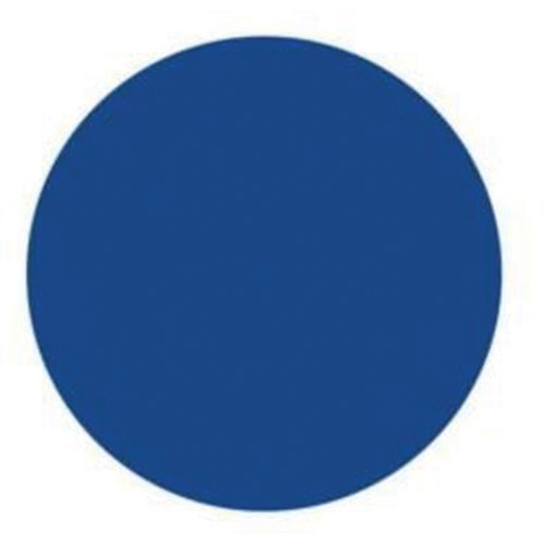 Round Write-On Labels, Circle, 3" L x 3" W, Blue GTA Hardware Inc