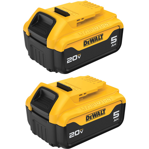 Bloc-piles Max XR Premium, Lithium-ion, 20 V, 5 A GTA Hardware Inc