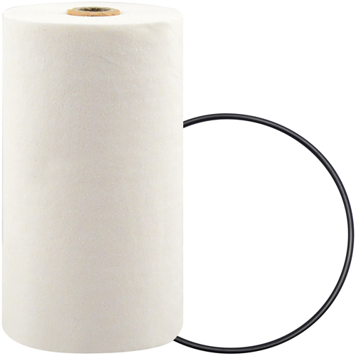 P7247 Spin-On Coolant Filter with BTE Formula GTA Hardware Inc