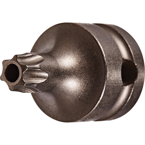 Socket Bit, Torx&reg; Tamper, 25 x 1" L, 3/8" Drive GTA Hardware Inc