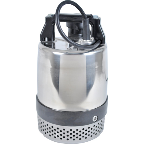 Pompe utilitaire s&eacute;rie FLS/FS, 1 CV, 80 gal./min, 115 V, 10 A GTA Hardware Inc