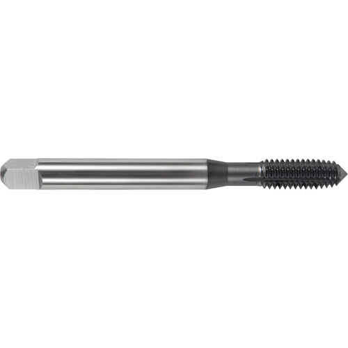 Taraud Nitro Max DRILLCO, Cobalt, Filet 1/4"-10 GTA Hardware Inc