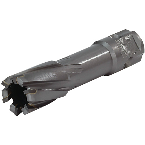 Couteau annulaire &agrave; tige universelle, Diam&egrave;tre de 24 mm, Carbure, Profondeur de la coupe de 55 mm, Tige 3/4" GTA Hardware Inc
