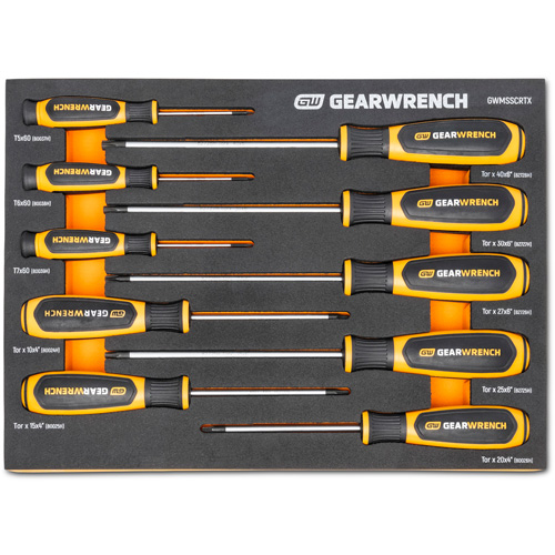 Jeu de tournevis bimat&eacute;riau Torx dans un plateau de rangement en mousse, 10 mcx GTA Hardware Inc