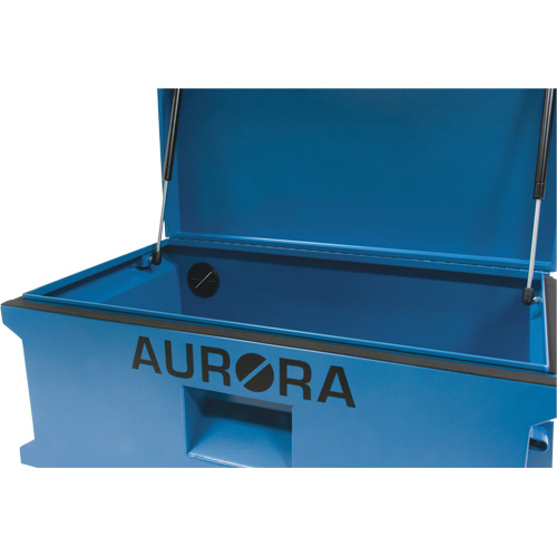 Coffre &agrave; outils de chantier, 33" x 20-3/10" x 18-3/10", Acier, Bleu GTA Hardware Inc