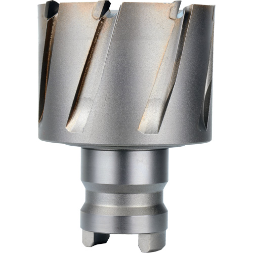Quick Change Tang Drive Hawg&reg; Cutter, 2" Diameter, Steel, 1" Depth of Cut GTA Hardware Inc