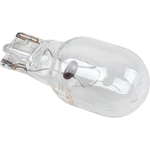 Ampoule de rechange - 9 W au tungst&egrave;ne GTA Hardware Inc