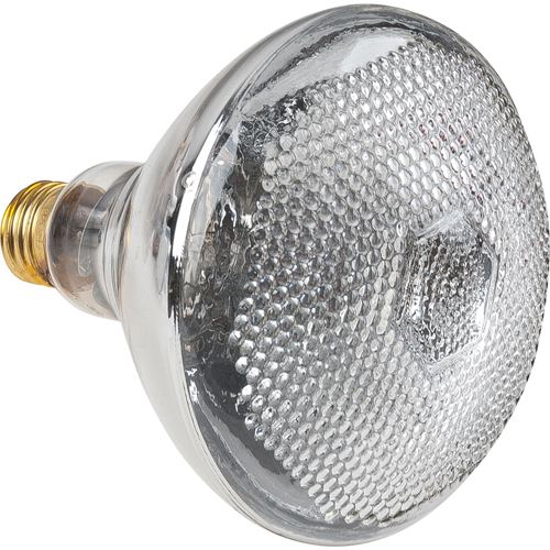Lampes &agrave; incandescence &eacute;conomiques GTA Hardware Inc