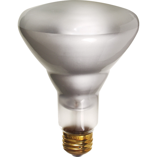 Economy Line Incandescent Lamps GTA Hardware Inc