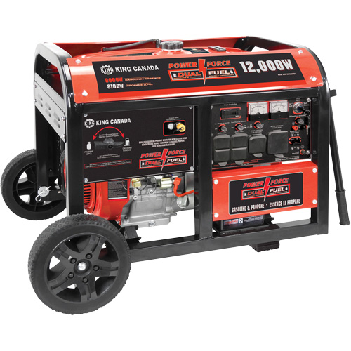 Gasoline/Propane Generator with Electric Start GTA Hardware Inc