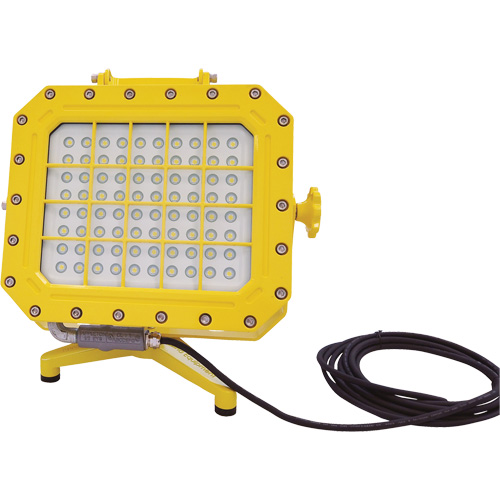 Explosion Proof Floodlight with Floor Stand, LED, 40 W, 5600 Lumens, Aluminum Housing GTA Hardware Inc
