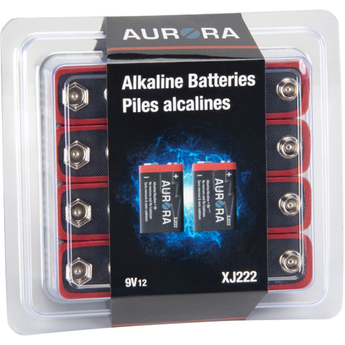 Industrial Alkaline Batteries, 9 V GTA Hardware Inc