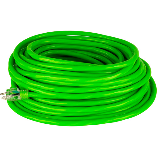 Cordon rallonge de calibre industriel, Toutes saisons, SJTW, AWG 10/3, 15 A, 100' GTA Hardware Inc