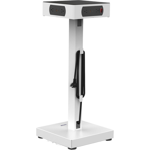 LuxPower Charging Tower GTA Hardware Inc