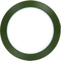 Polyester Tape, Polyester, 25.4 mm (1") W x 66 m (216') L, 1.9 mils Thick GTA Hardware Inc