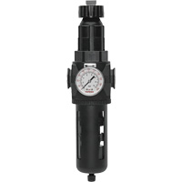 Modulair 400 Filter/Regulator with Manual Drain, 3/4" NPT, 200 psi, 9.1 fl. oz. Capacity GTA Hardware Inc