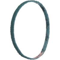 Courroies de traitement des surfaces Scotch-Brite GTA Hardware Inc