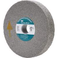 Meule d'&eacute;barbage EXL Scotch-Brite, 6" x 1", Arbre de 1" GTA Hardware Inc