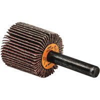 Flap Wheels-Coolcut Flap Wheels, Aluminum Oxide, 60 Grit, 1" x 1" x 1/4" GTA Hardware Inc