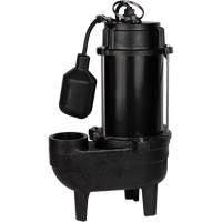 Pompe d'&eacute;gout en fonte, 120 V, 9,5 A, 6000 gal./h, 1/2 CV GTA Hardware Inc