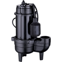 Pompe d'&eacute;gout en fonte, 120 V, 9,5 A, 6000 gal./h, 1/2 CV GTA Hardware Inc