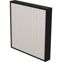 V&eacute;ritables filtres HEPA AeraMax Pro AM3 & AM4 2", Boîte, 13,75" la x 2,25" p x 14,38" h GTA Hardware Inc