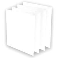 Pr&eacute;-filtres AeraMax Pro AM3 ou AM4, 13,75" la x 0,13" p x 14,38" h GTA Hardware Inc