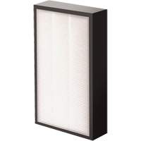 V&eacute;ritables filtre HEPA AeraMax Pro AM2 1-3/4", Boîte, 7,38" la x 1,88" p x 12,88" h GTA Hardware Inc