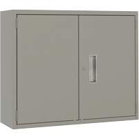 Armoire murale, Acier, 2 Tablettes, 30" h x 36" la x 12" P, Gris GTA Hardware Inc
