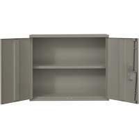 Armoire murale, Acier, 2 Tablettes, 30" h x 36" la x 12" P, Gris GTA Hardware Inc
