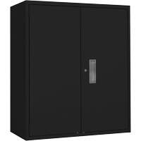 Armoire de rangement Lo-Boy, Acier, 2 Tablettes, 42" h x 36" la x 18" P, Noir GTA Hardware Inc