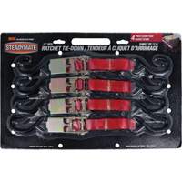 Tendeurs d'arrimage de fret