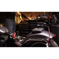 Chargeur de batterie 10 A Genius 10 GTA Hardware Inc