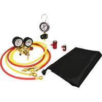 Automotive A/C Nitrogen Leak Test Kit with Regulator GTA Hardware Inc