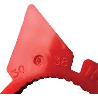 Indicateur d'&eacute;crous de tailles multiples desserr&eacute;s HexChex GTA Hardware Inc