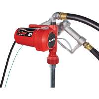 12V DC Fuel Transfer Pump with Nozzle GTA Hardware Inc