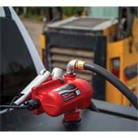 12V DC Fuel Transfer Pump with Nozzle GTA Hardware Inc