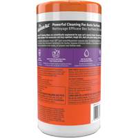 Cleaning Wipes GTA Hardware Inc